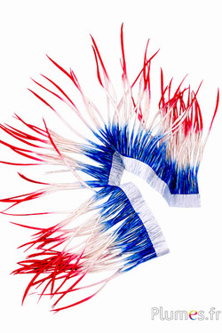 Gans guirlande - tricolor - blauw-wit-rood